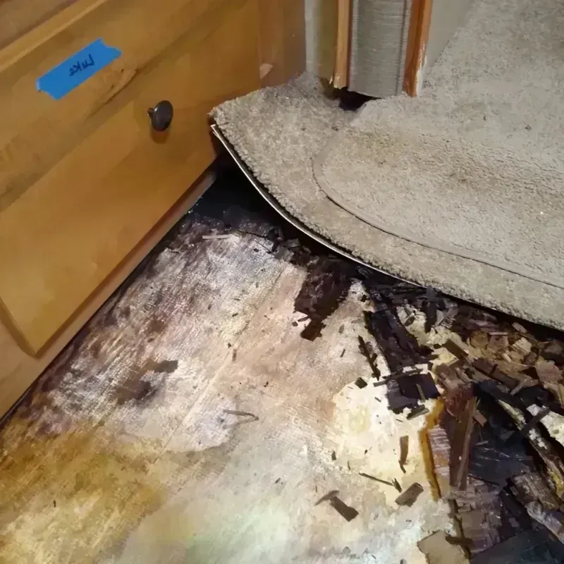 Wood Floor Water Damage in North Canton, OH